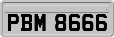 PBM8666