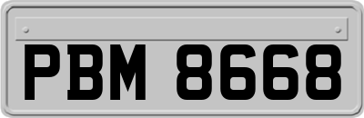 PBM8668