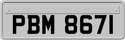 PBM8671