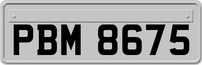 PBM8675