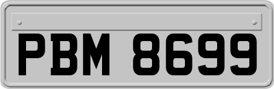 PBM8699