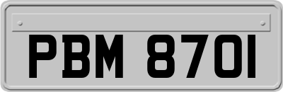 PBM8701