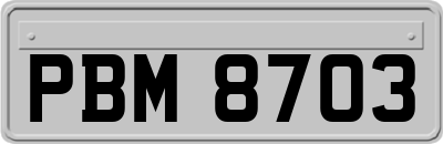 PBM8703