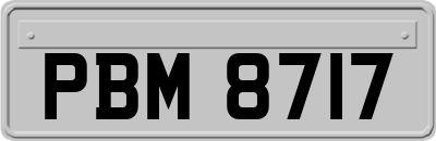 PBM8717