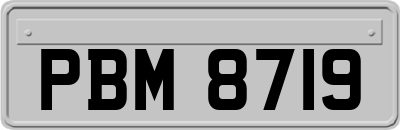 PBM8719