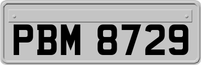 PBM8729