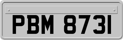 PBM8731