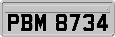 PBM8734