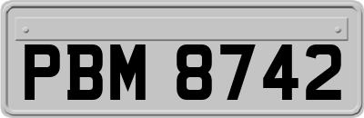 PBM8742