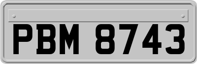 PBM8743