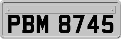 PBM8745