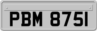 PBM8751