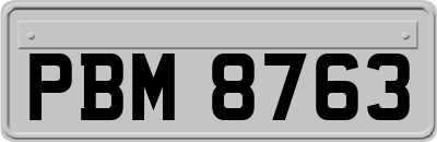 PBM8763