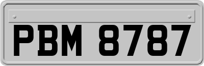 PBM8787