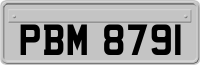 PBM8791