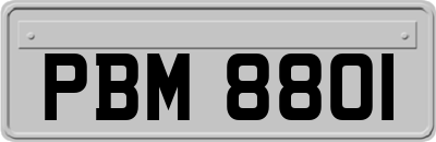 PBM8801