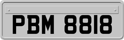 PBM8818