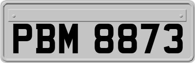 PBM8873