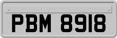 PBM8918