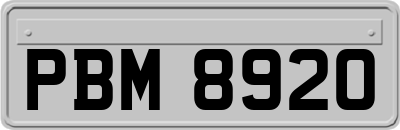 PBM8920