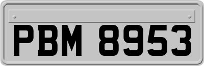 PBM8953