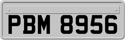 PBM8956