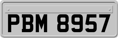 PBM8957