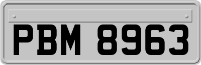 PBM8963