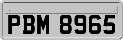 PBM8965