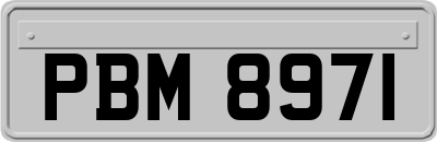 PBM8971