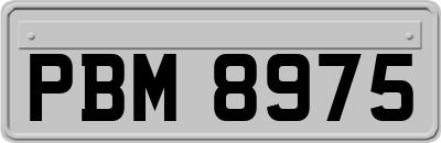 PBM8975