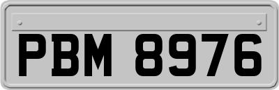 PBM8976