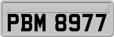 PBM8977