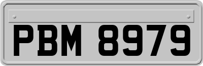 PBM8979