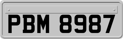 PBM8987