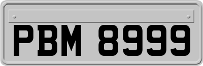 PBM8999