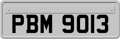 PBM9013