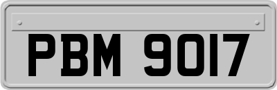 PBM9017