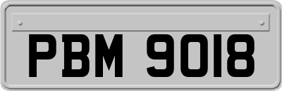 PBM9018