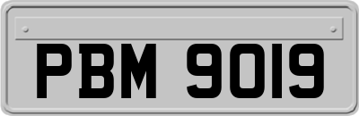 PBM9019