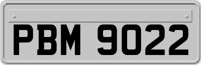 PBM9022