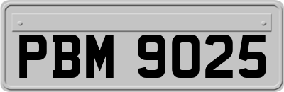 PBM9025