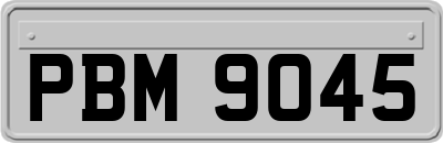 PBM9045