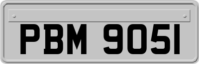 PBM9051