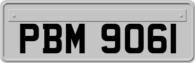 PBM9061