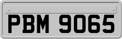 PBM9065