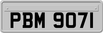 PBM9071