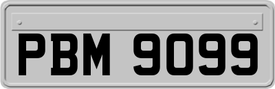 PBM9099