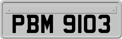 PBM9103