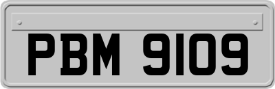 PBM9109